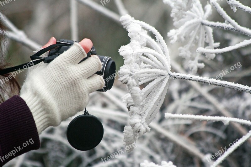 Camera Winter Frozen Icing Whites