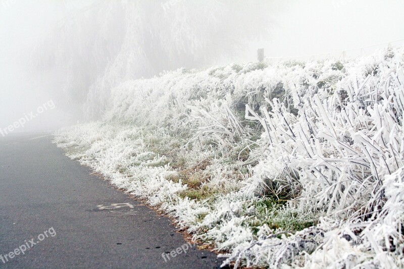 Winter Frozen Icing Whites Frost