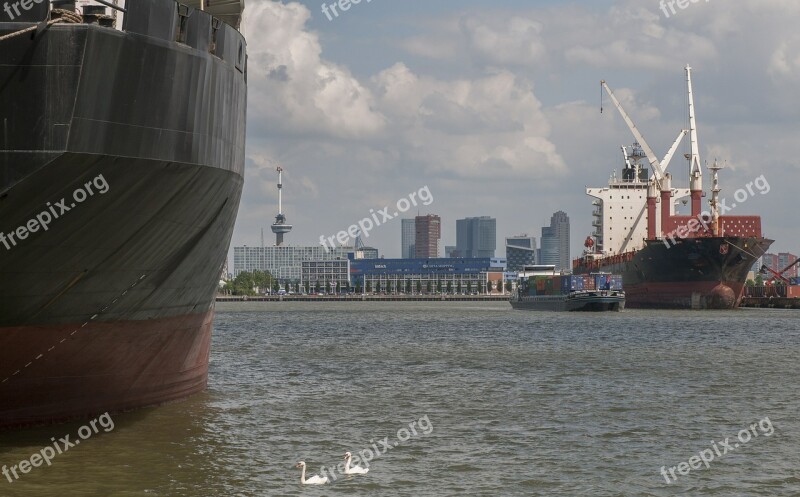 Rotterdam Port Boat Swan Skyline