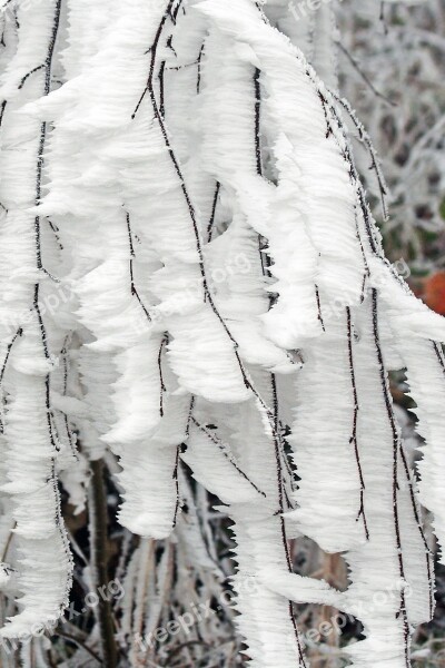 Winter Frozen Icing Whites Frost