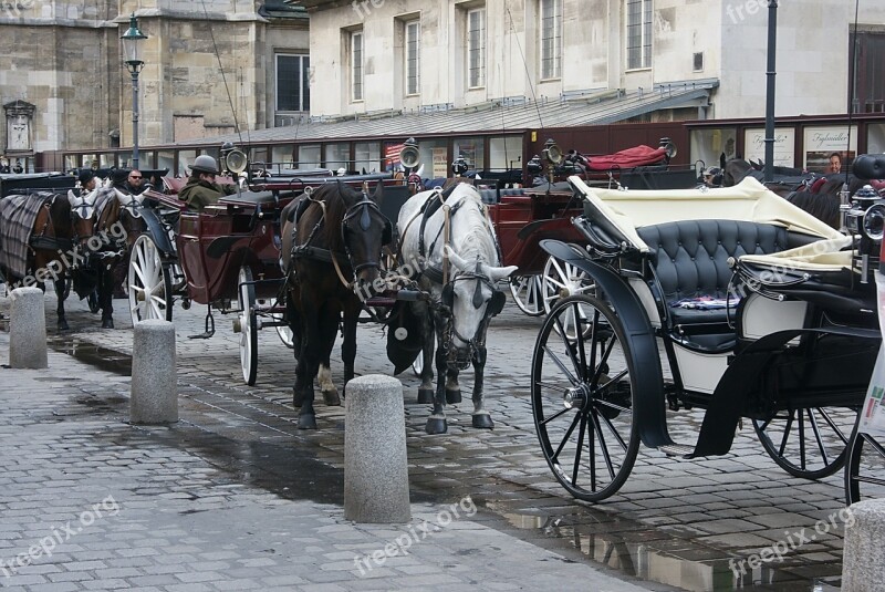 Vienna Carriages Horses Free Photos