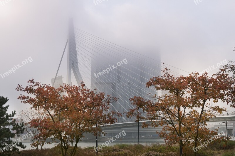 Rotterdam Fog Erasmus Bridge Bridge Free Photos