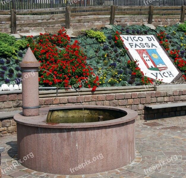 Fontana Flowers Flower Bed Piazza Vigo Di Fassa