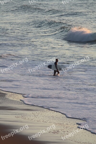 Surf Sea Wave Beach Surfer