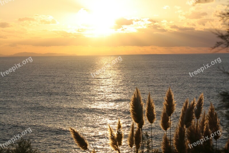 Sun Sunset Feather Duster Sea France