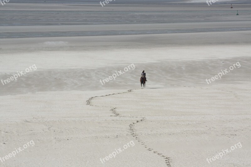 Horse Beach Sea Sand Ocean