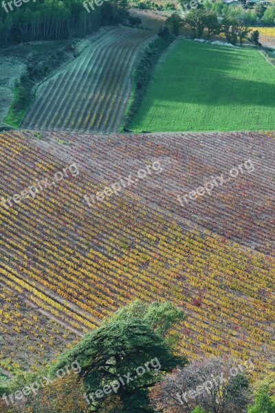 Fields Provence South Of France Landscape Vines