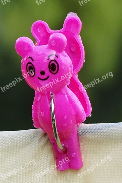 Clothes Peg Bear Clip Free Photos