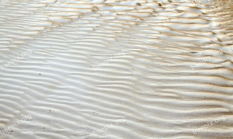 Ripples Texture Sand Shore Brown