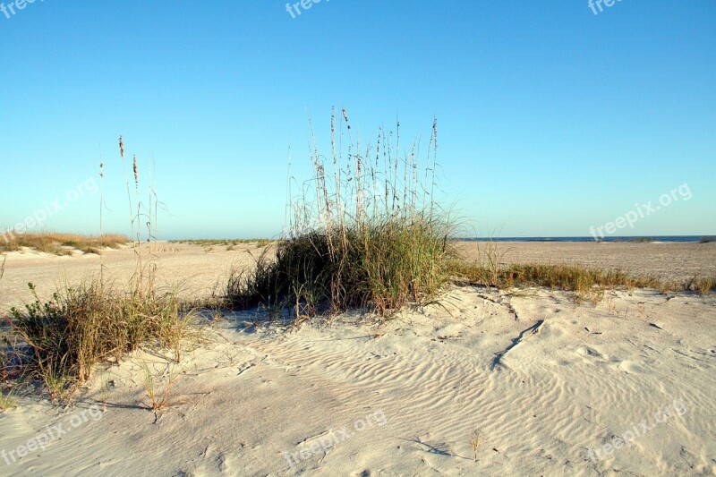 Seascape Sea Oats Ocean Sand Florida