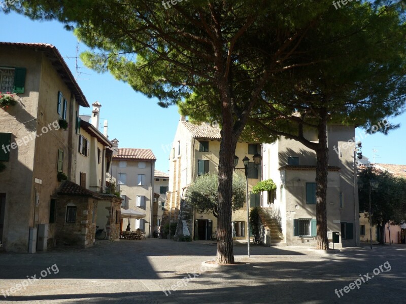 Mediteran Town Pine Tree Italy Free Photos