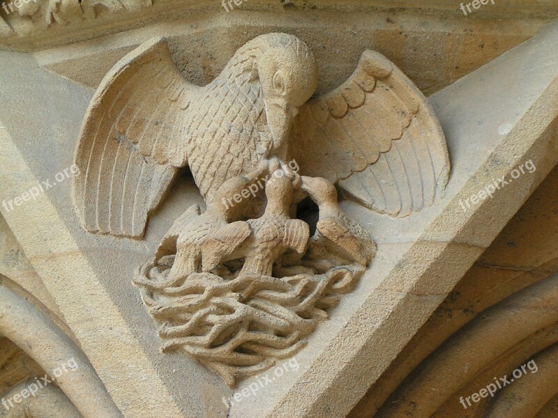 Metz Cathedral Pelican Free Photos