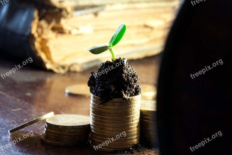 Coins Growth Rostock Gold Pile