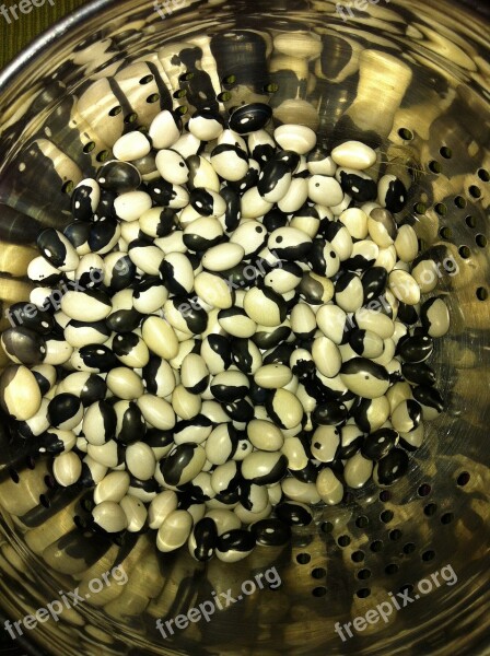 Beans Peace Yin Yang Orca Food