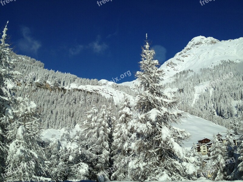 Winter Snow Landscape Trees Fir Forest Free Photos