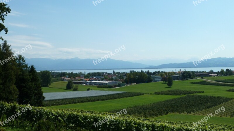 Lake Constance Nature Landscape Mountains Summer