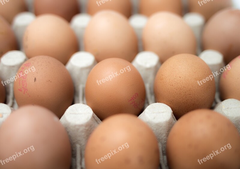 Eggs Food Fresh Natural Free Photos