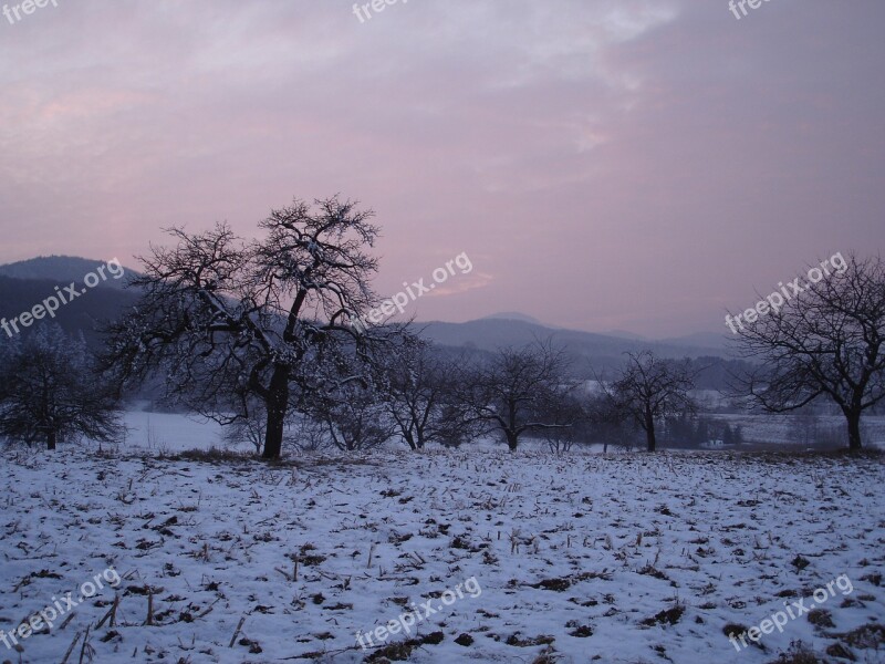 Wintry Red Violet Sundgau Snow