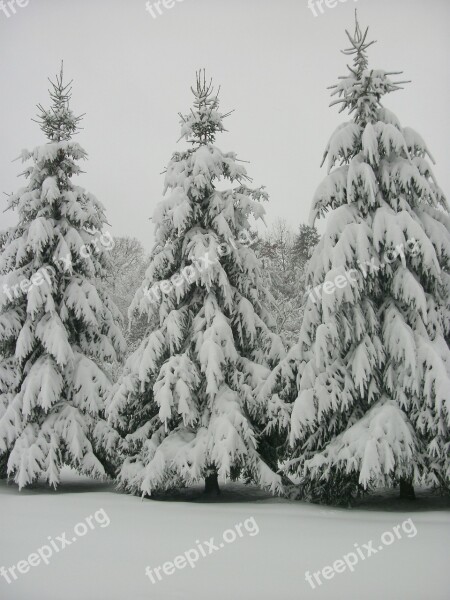 West Virginia Trees Outdoors Wilderness Snow