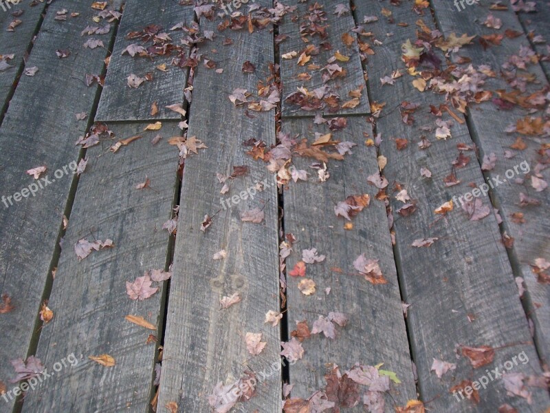 Boardwalk Weathered Leaves Autumn Fall