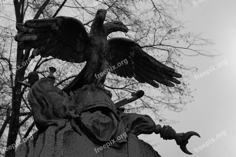 Dead Cemetery Scary Bird Dark