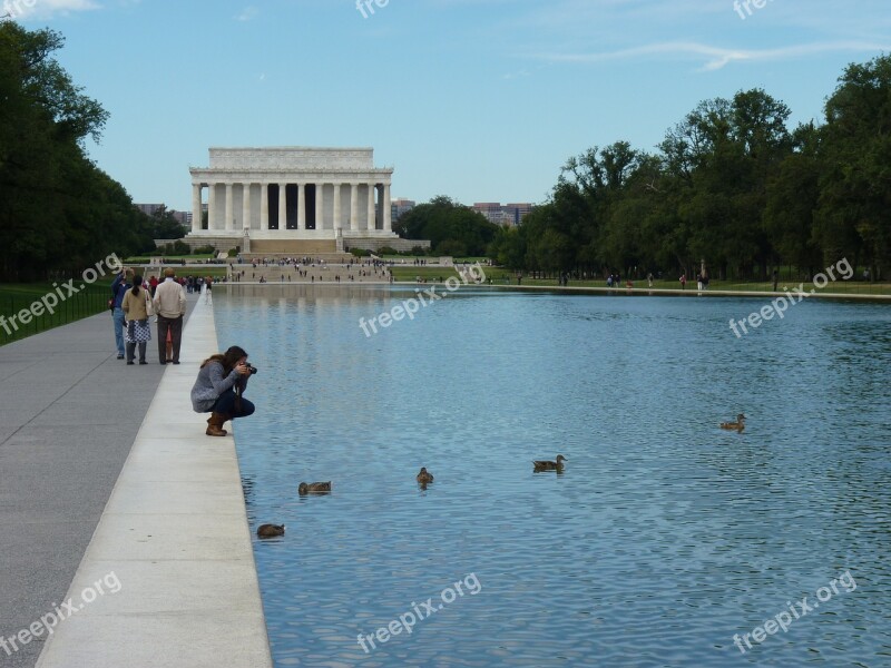 Lincoln Photograph Ducks Water Washington