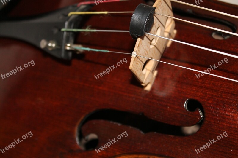 Viola Stringed Instrument Brown Wood Melody