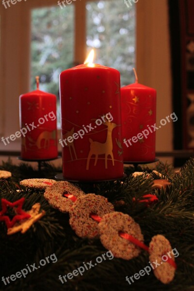 Advent Wreath Candle Red Green Light