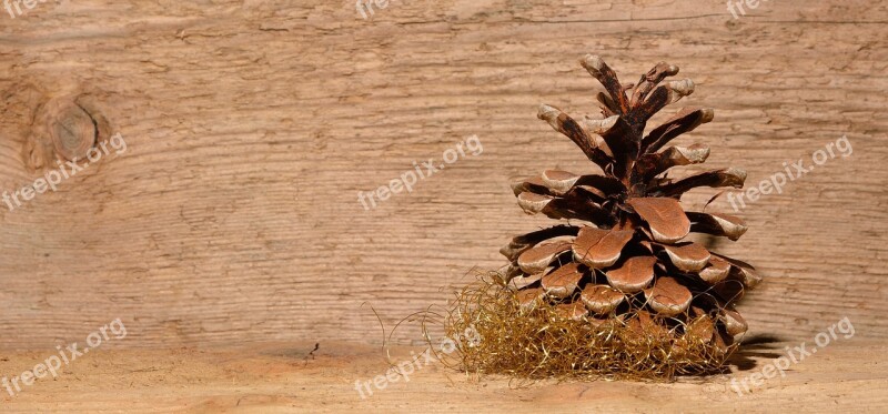 Pine Cone Wood Background Free Photos