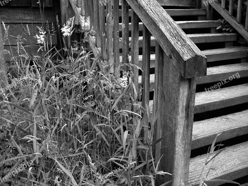 Stairs Gradually Black White Staircase Rise