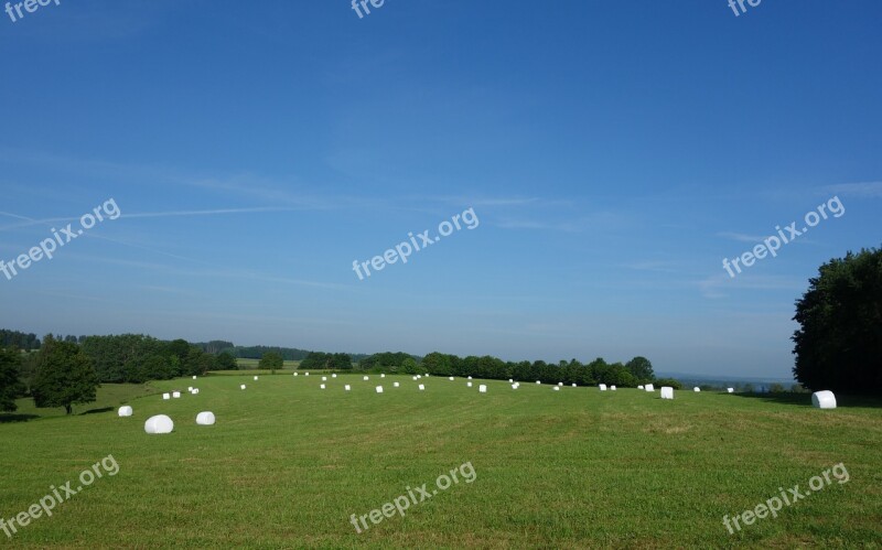 Straw Bales Round Bales Hay Bales Agriculture Bale