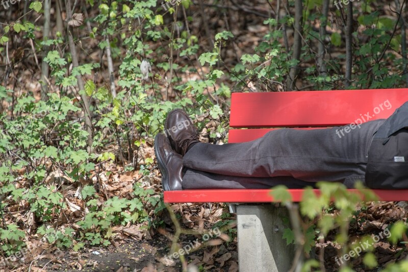 Bank Park Bench Bench Forest Rest