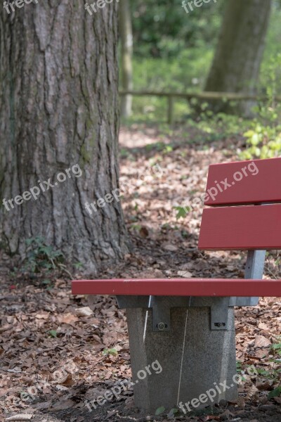 Bank Park Bench Bench Forest Rest