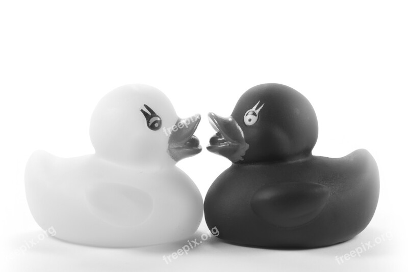 Ducks Rubber Ducks Toys Romantic Romance