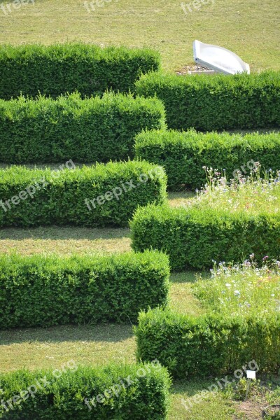 Hedge Hedge Accounting Structure Lines Garden