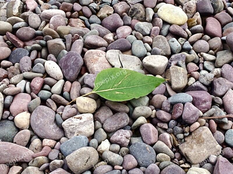 Leaf Rocks Beach Pebbles Stones