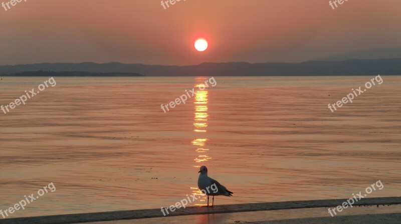 Sunset Garda Gull Italy Vacations