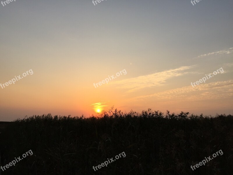 Shanghai Chongming Xisha Sunset Free Photos