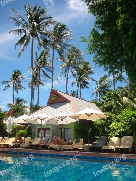 Palm Trees Pool Water Swimming Pool Hotel