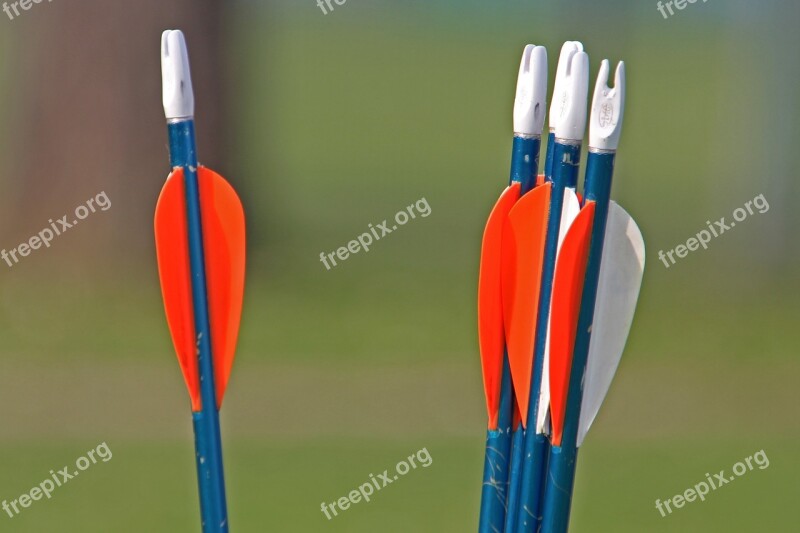 Arrows Archery Bogensport Arch Without Fail