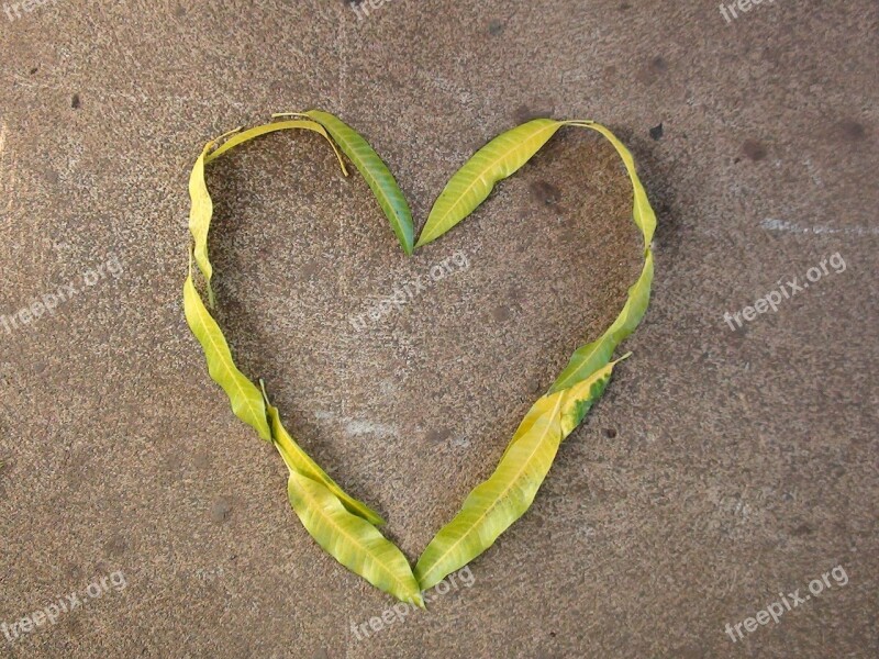 Heart Leaves Nature Love Romantic