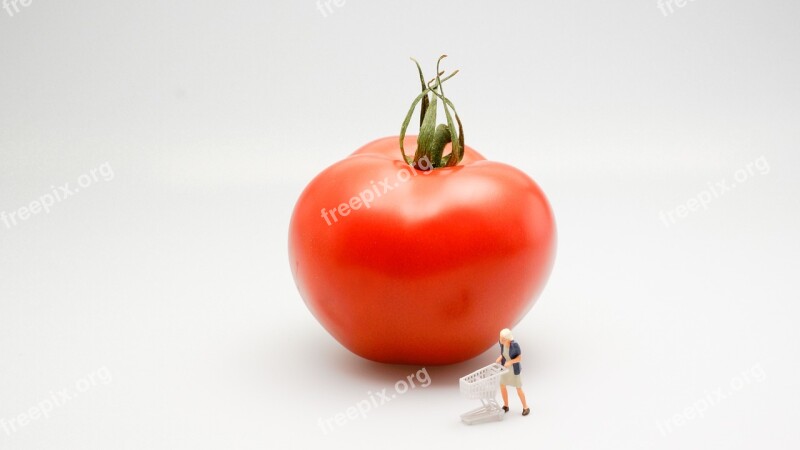 Tomato Food Vegetable Red Woman