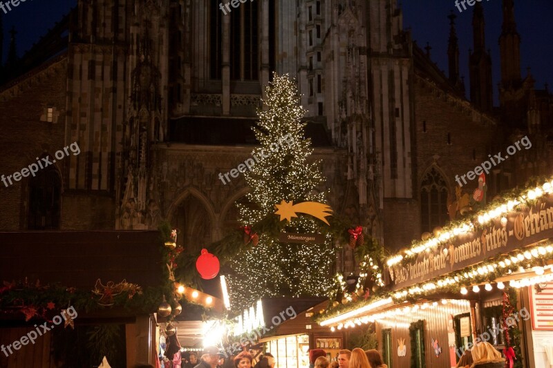 Christmas Market Fir Tree Light Lighting Christmas