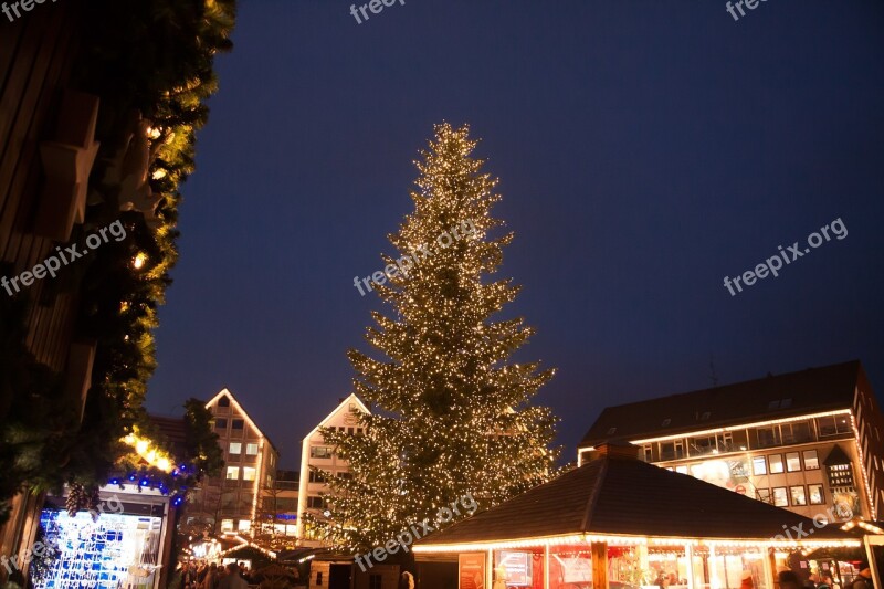 Christmas Market Fir Tree Light Lighting Christmas