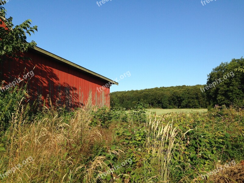 Barn Red Country Go Farmhouse