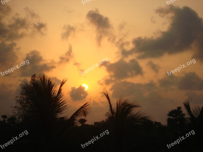 Clouds Sunset Coconut Tree Free Photos