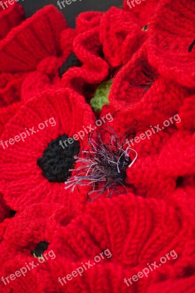 Poppies Red Woollen Flowers Bloom