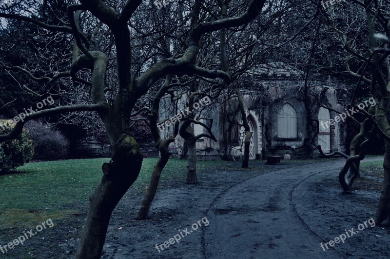 Nostell Priory Old House Eerie Weird Trees Twilight