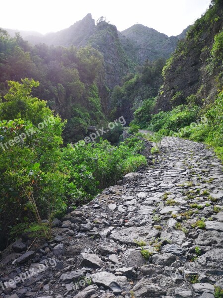 Rocky Path Road Landscape Nature