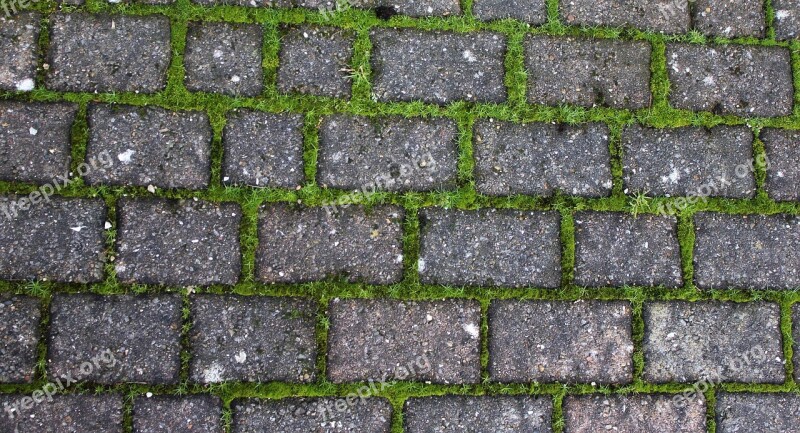 Driveway Brick Stone Grass Moss